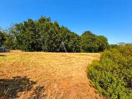 vente terrain à challans (85300) : à vendre / 439m² challans