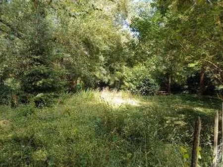 vente terrain à varennes-sur-loire (49730) : à vendre / 595m² varennes-sur-loire