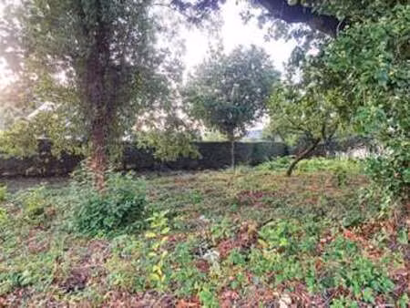 vente terrain à ploufragan (22440) : à vendre / 668m² ploufragan