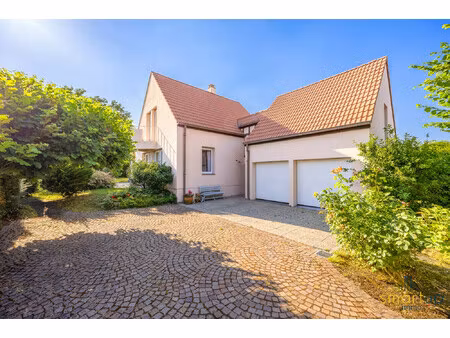 maison à vendre hattstatt