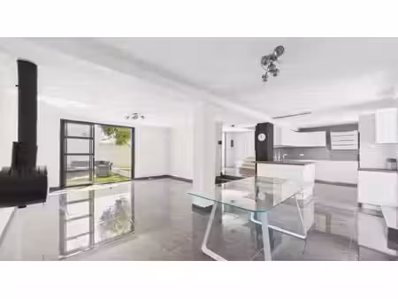 maison rénovée  jardin et volumes