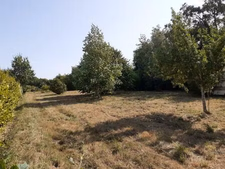 terrain constructible 1200 m² à telgruc (29 560) presqu'île de crozon