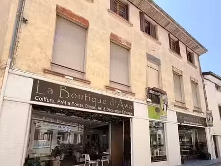 vente immeuble 421 m² à la côte-saint-andré (38260)  499 000 €