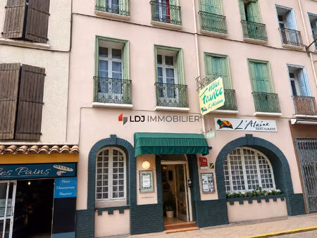 achat local commercial 418m² amelie les bains palalda 66110
