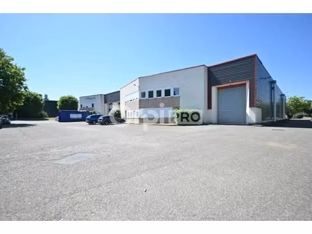 location local d’activités saint priest 69800 370m²