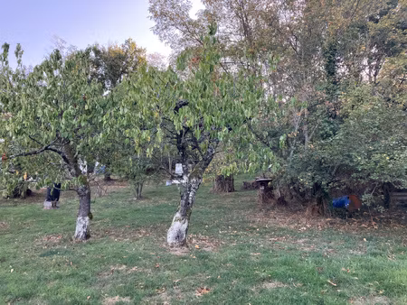 achat terrain 1 700m² st romain de popey 69490