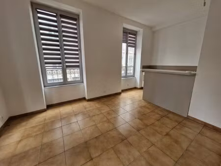 location appartement 1 pièce 25m² lyon 7ème