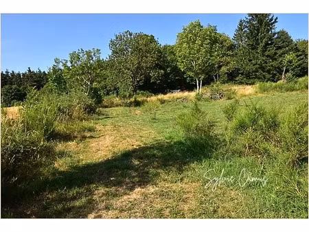 vente terrain 1300 m² à saint-pal-de-mons (43620)  48 000 €