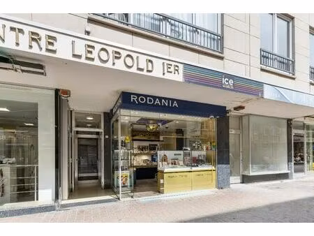 surface commerciale à vendre à sloepenlaan 1 la panne (rbw53128)