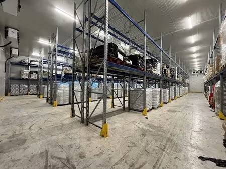 location entrepôt gonesse 95500 2181m²