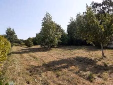 vente terrain à telgruc-sur-mer (29560) : à vendre / telgruc-sur-mer