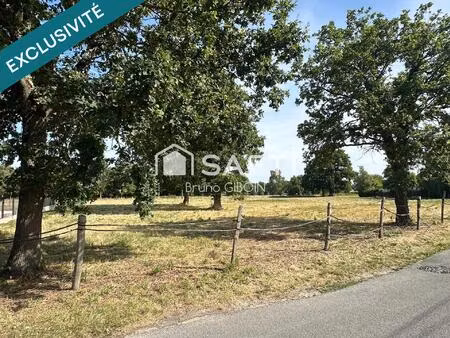 vente terrain 1311 m² coullons (45720)