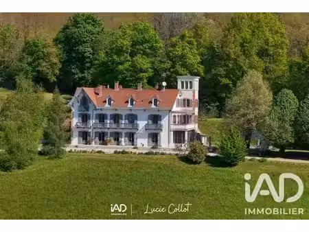 villa de luxe de 14 pièces en vente la côte-saint-andré  france