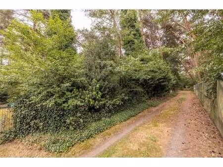 terrain agricole à vendre à huls c68e vorselaar (rbw53185)