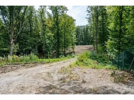 terrain à vendre à allée des geais philippeville (vbe49567)