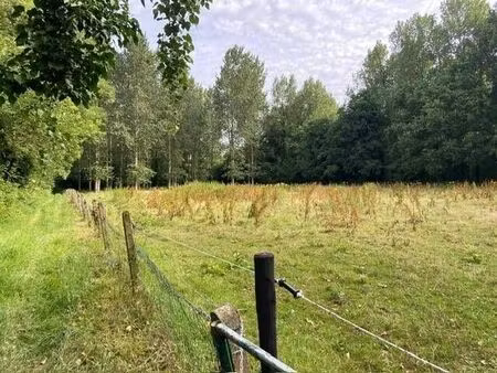 terrain agricole à vendre à langedijk z/n vorst (rbw53182)