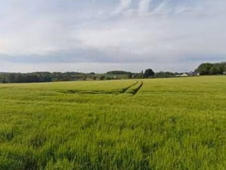 vente terrain à pleudihen-sur-rance (22690) : à vendre / pleudihen-sur-rance