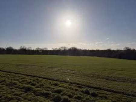 vente terrain à bourg-blanc (29860) : à vendre / bourg-blanc