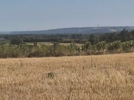 terrain agricole de 4 hectares vue panoramique secteur campsas / fabas
