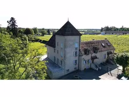 propriété avec jardin mercurey (71)