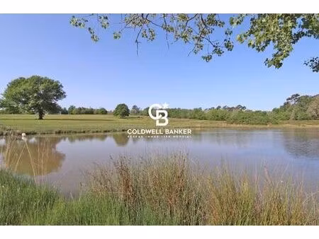 maison de luxe de 12 pièces en vente à saint-michel-de-double  nouvelle-aquitaine