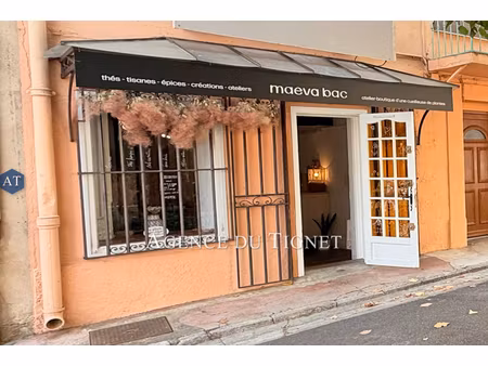 annonce commerce à vendre