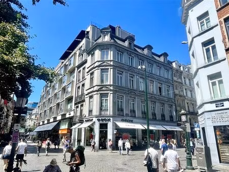 appartement à vendre à kiekenmarkt 52 bruxelles (rbw53131)