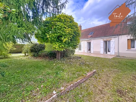 maison à vendre saint-denis-en-val