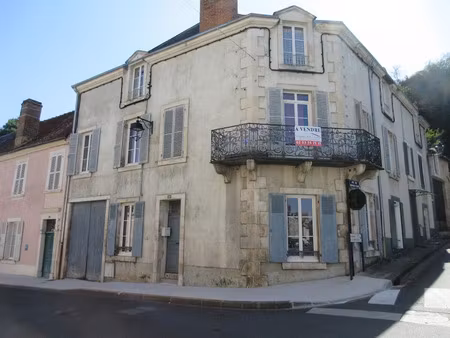 vente maison 8 pièces 306.66 m² à argenton-sur-creuse (36200)  160 500 €