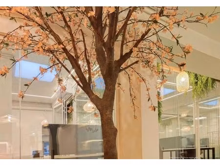 vente bureaux 215 m²