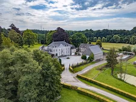 ciney - château sur 10ha