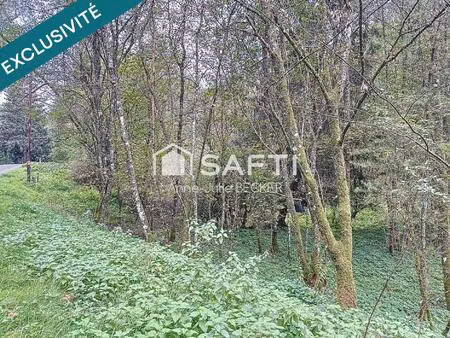 vente terrain 20774 m² siersthal (57410)