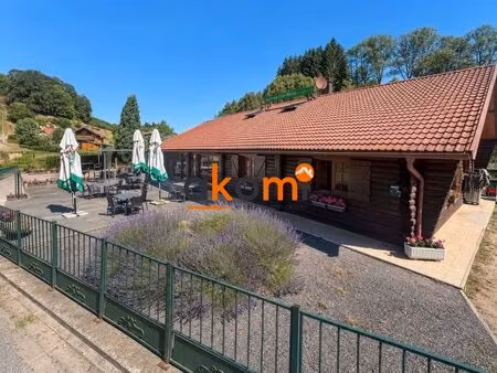 authentique ferme-auberge au coeur des vosges grandrupt (882