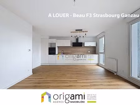strasbourg ganzau - superbe f3 rénové de 61 m²