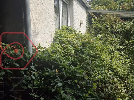 vente maison 5 pièces 80 m² criel-sur-mer (76910)