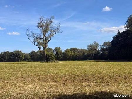 recherche terrain à louer