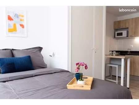 studio 1 pièce 19 m²