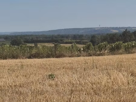 vente terrain 40129 m² fabas (82170)