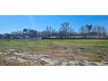 vente terrain 811 m² à saint-magne (33125)  135 000 €