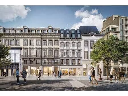 centre-ville – commerce de 217 m2 à louer - projet brouck'r