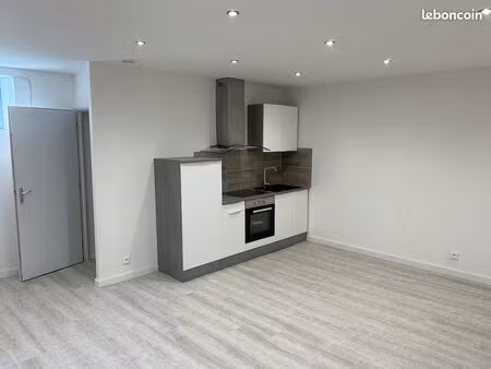 appartement plein centre-ville