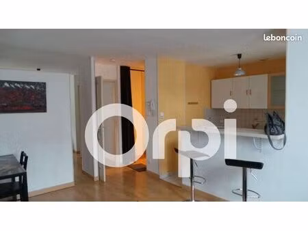 studio 1 pièce 33 m²