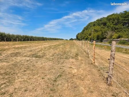 location terrain prairie pour chevaux