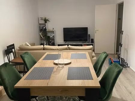 appartement 50m2