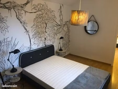 appartement 3 pièces meublé hyper centre de castres