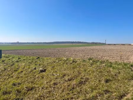 vente terrain 411 m² à haute-avesnes (62144)  59 052 €