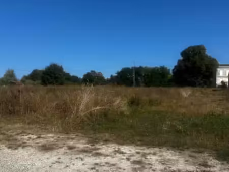 vente terrain 800 m² à saint-médard-de-guizières (33230)  62 000 €