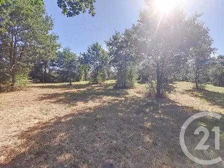 vente terrain à batir 6300 m² à auterive (31190)  195 000 €
