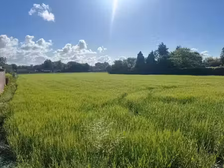vente terrain 1450 m² à labourse (62113)  89 500 €
