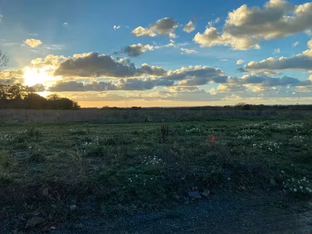 vente terrain 341 m² à pleurtuit (35730)  129 000 €
